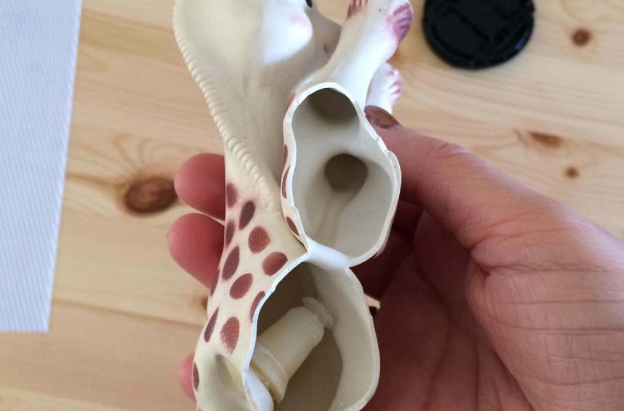 Sophie la girafe moisi Clearance