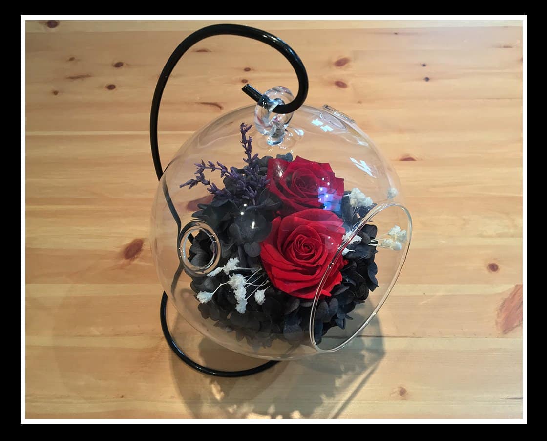 La rose éternelle sous cloche