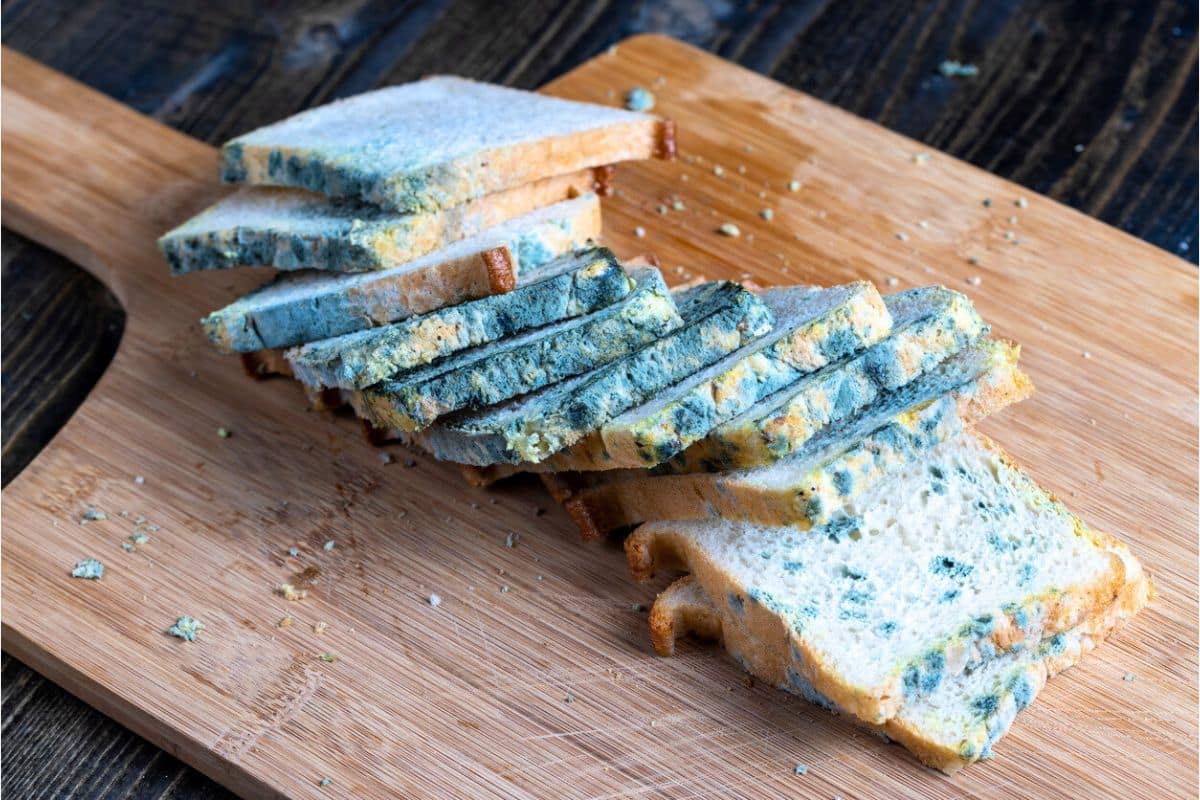 Ces marques de pain de mie